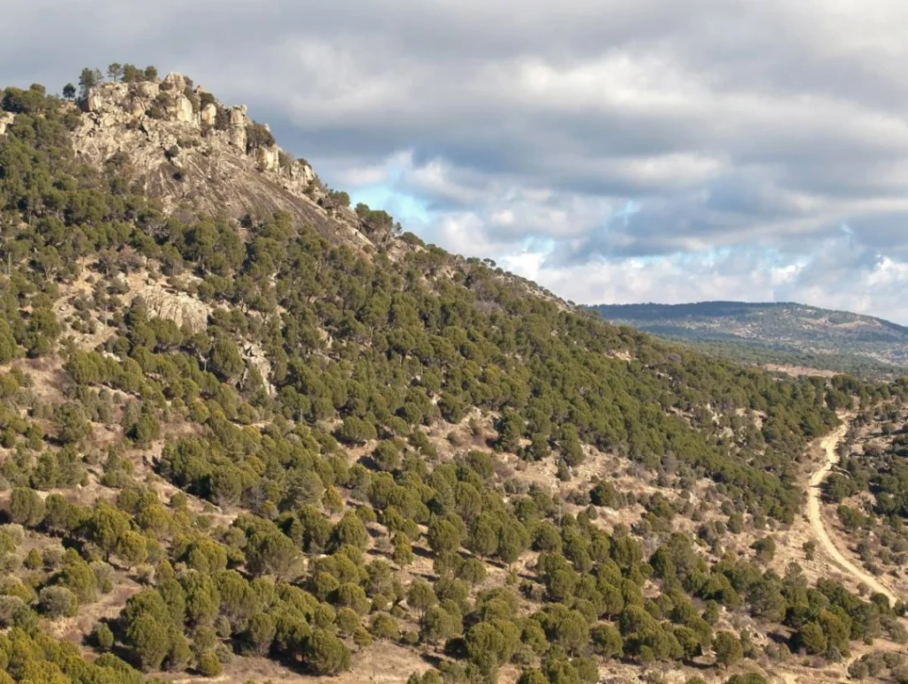 RUTA PRC 3 Real del Norte