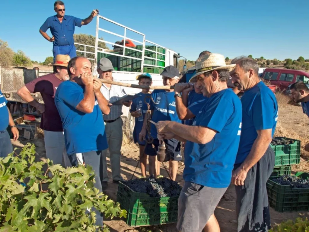 La fiesta de la Vendimia